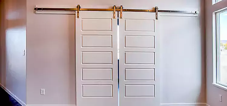 Glass Barn Door with Installation Hardware Kit Logan